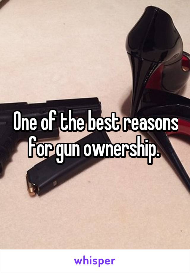 One of the best reasons for gun ownership. 