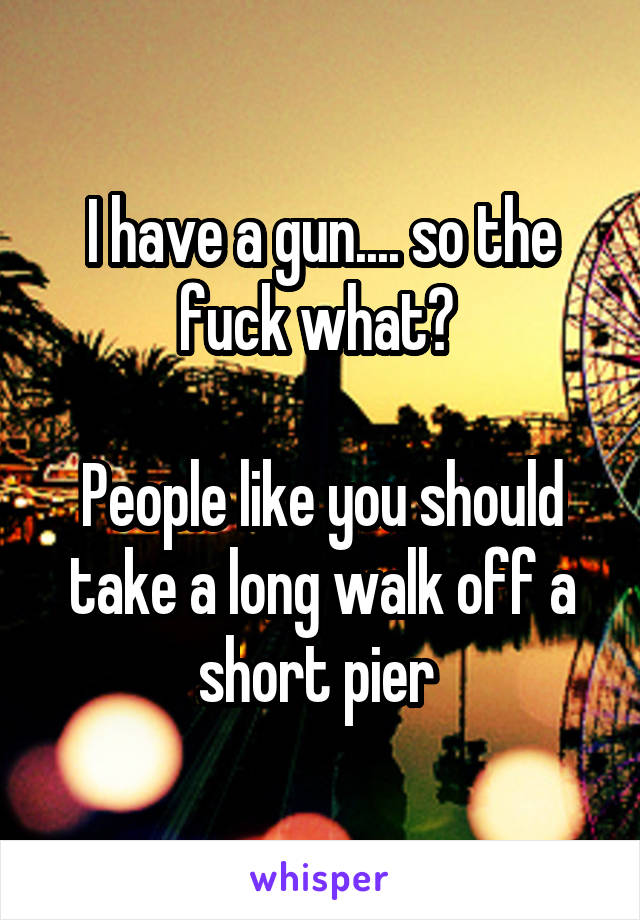 I have a gun.... so the fuck what? 

People like you should take a long walk off a short pier 