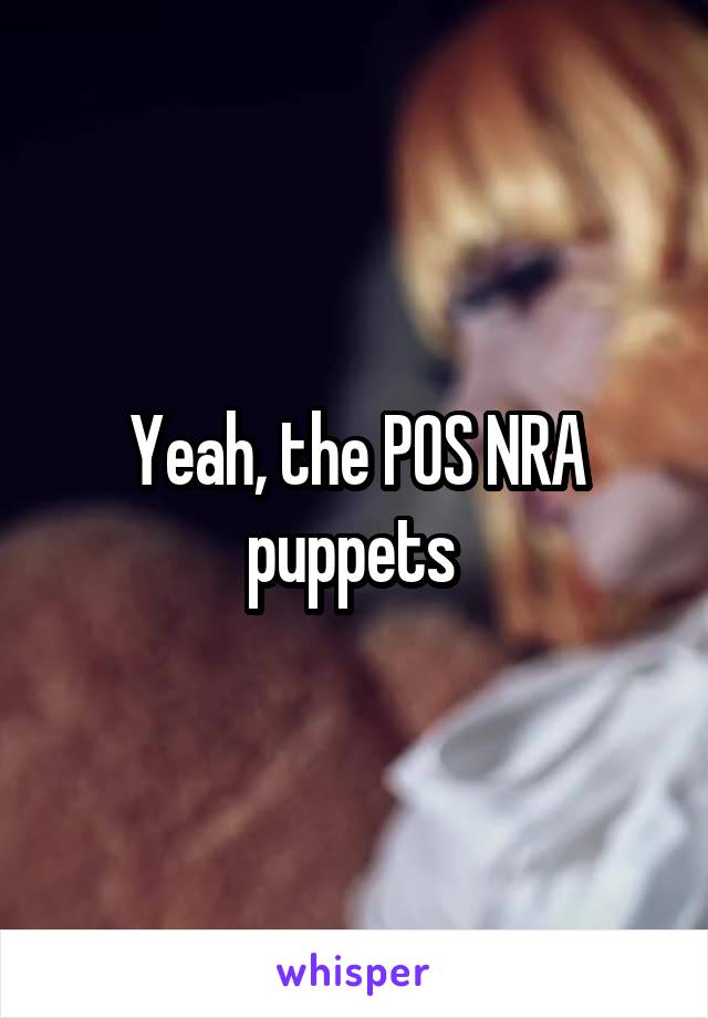 Yeah, the POS NRA puppets 