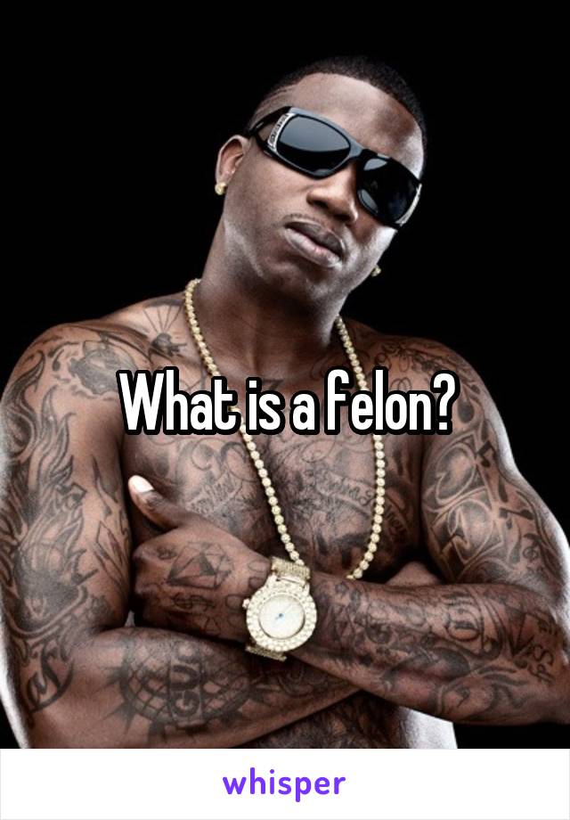 What is a felon?