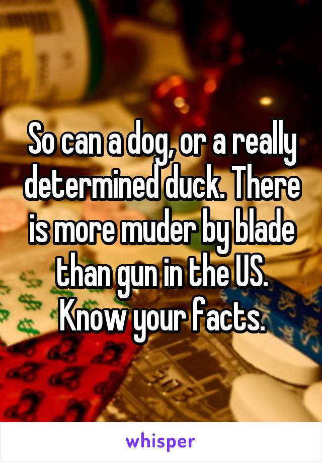 So can a dog, or a really determined duck. There is more muder by blade than gun in the US. Know your facts.