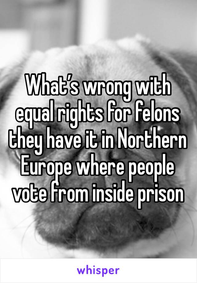 What’s wrong with equal rights for felons they have it in Northern Europe where people vote from inside prison