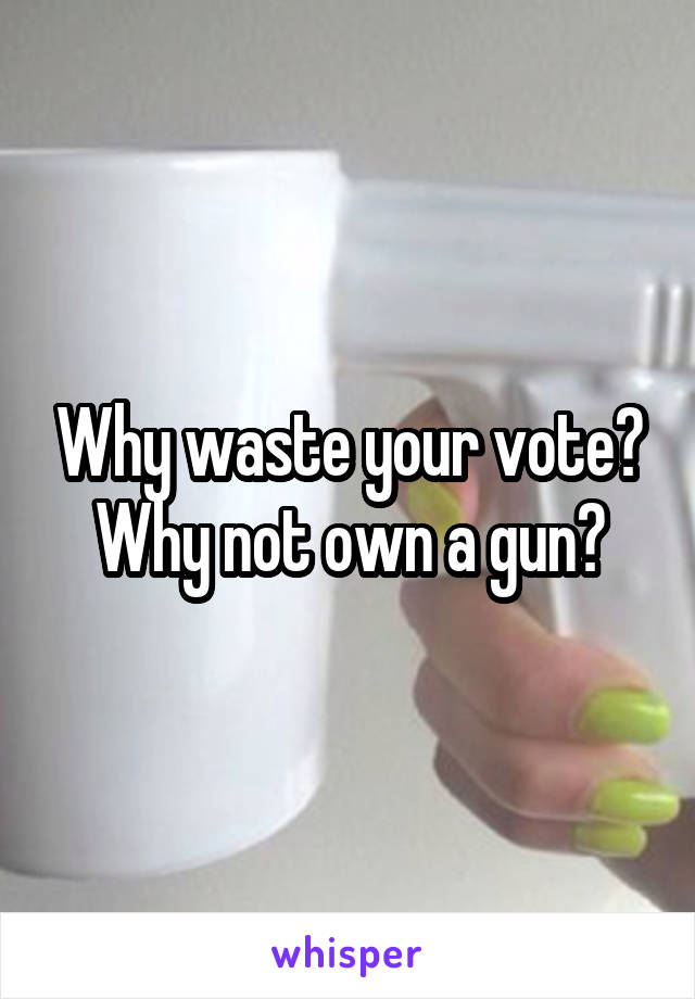  Why waste your vote? Why not own a gun?