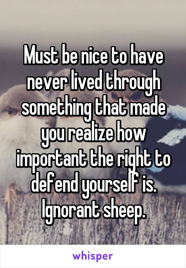 Must be nice to have never lived through something that made you realize how important the right to defend yourself is.
Ignorant sheep.