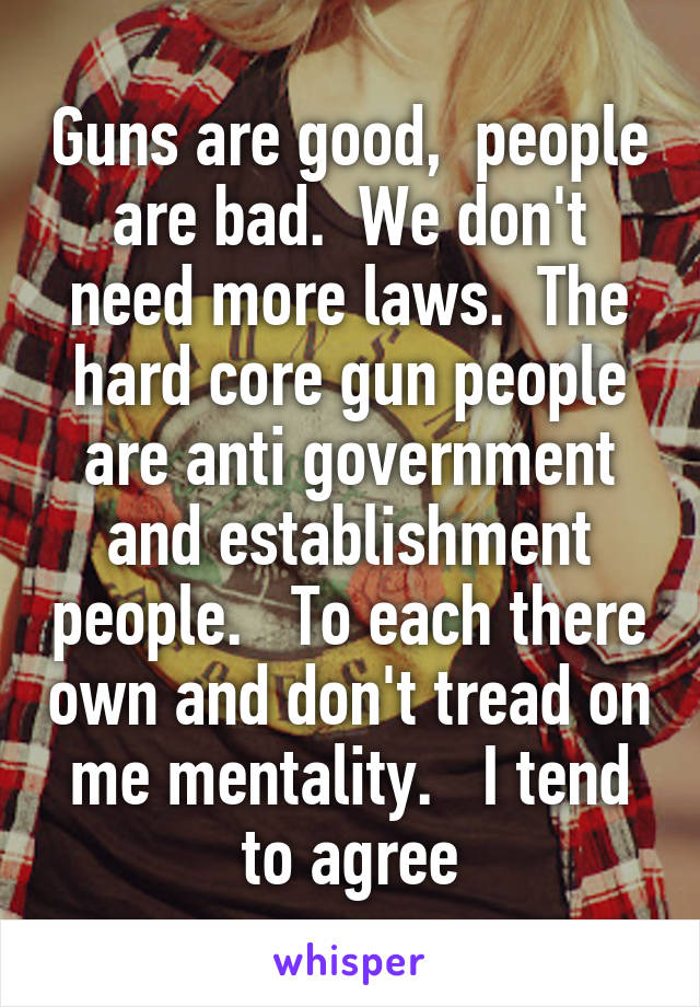 Guns are good,  people are bad.  We don't need more laws.  The hard core gun people are anti government and establishment people.   To each there own and don't tread on me mentality.   I tend to agree