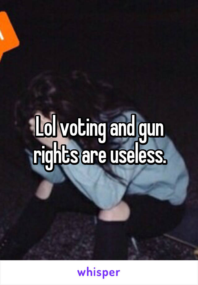 Lol voting and gun rights are useless.