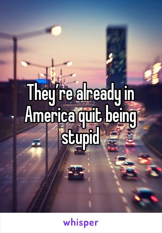 They’re already in America quit being stupid