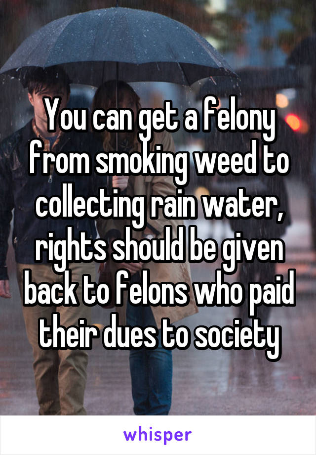 You can get a felony from smoking weed to collecting rain water, rights should be given back to felons who paid their dues to society