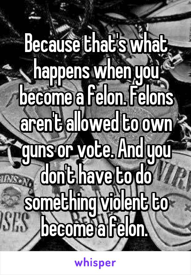 Because that's what happens when you become a felon. Felons aren't allowed to own guns or vote. And you don't have to do something violent to become a felon. 