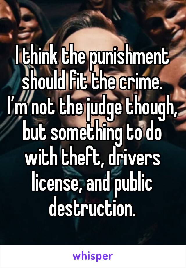 I think the punishment should fit the crime.
I’m not the judge though, but something to do with theft, drivers license, and public destruction.