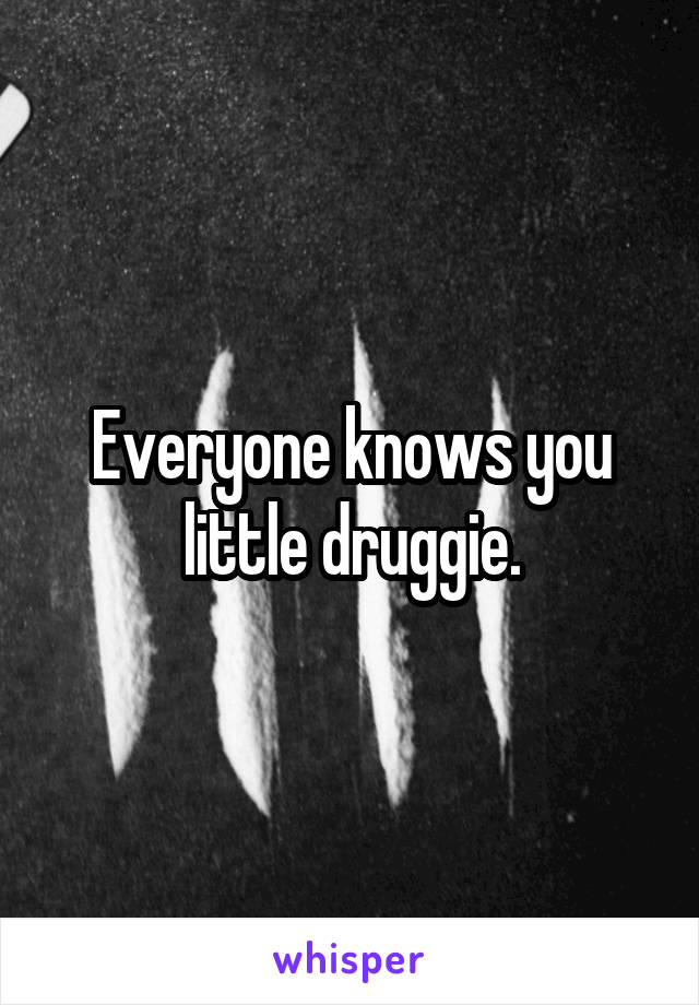 Everyone knows you little druggie.