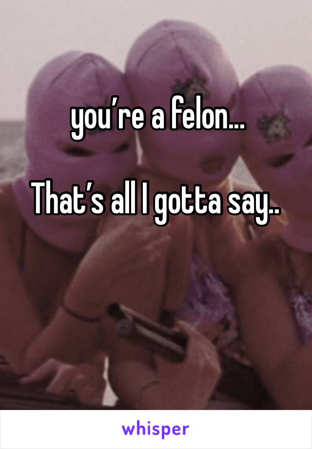  you’re a felon...

That’s all I gotta say..


