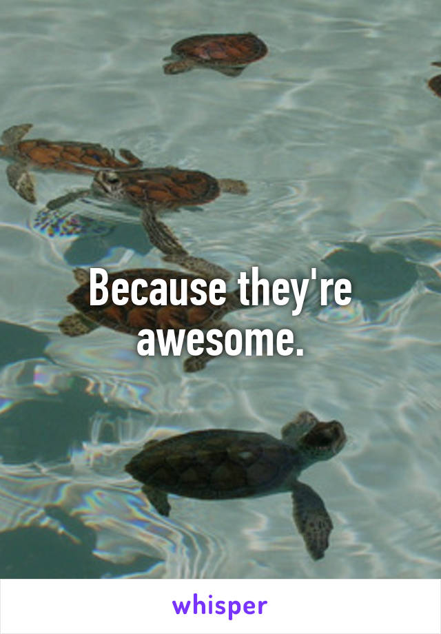 Because they're awesome.