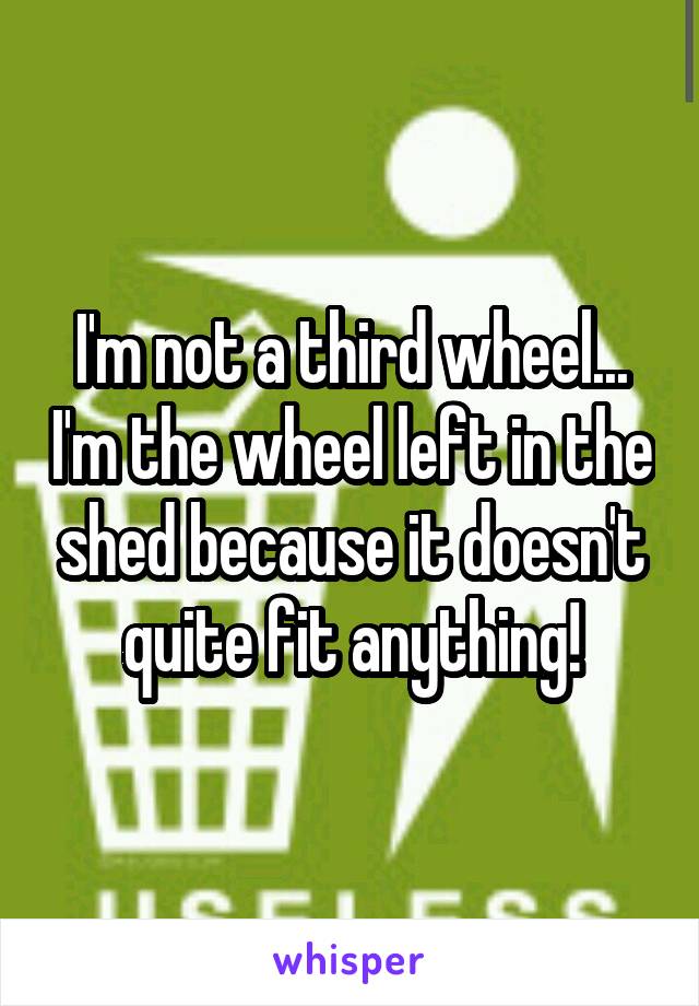 I'm not a third wheel... I'm the wheel left in the shed because it doesn't quite fit anything!