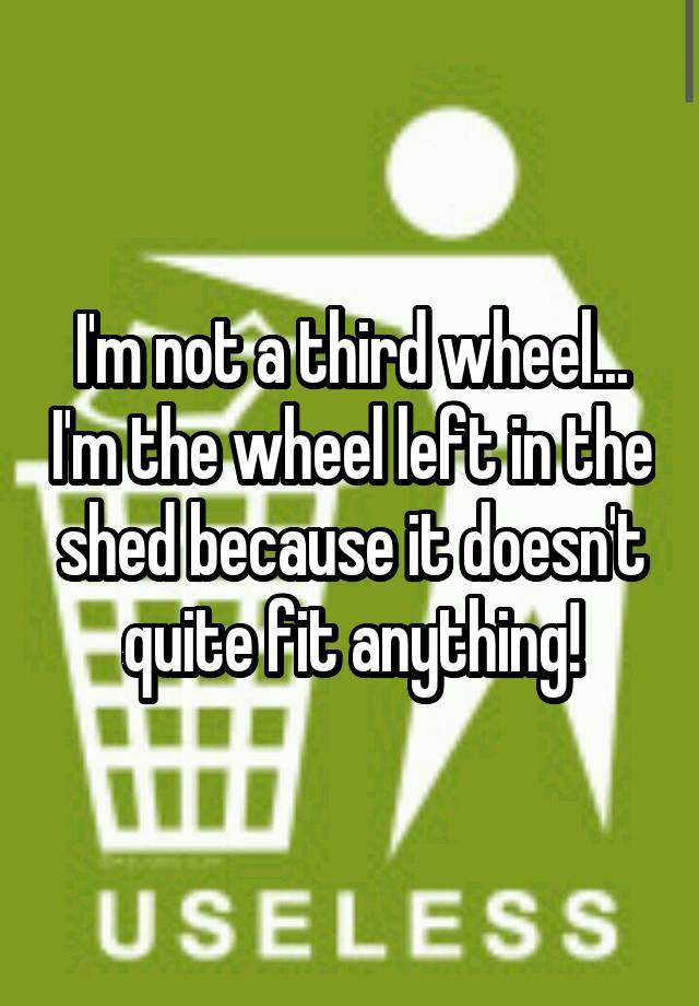 I'm not a third wheel... I'm the wheel left in the shed because it doesn't quite fit anything!