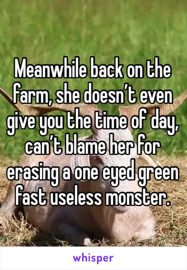 Meanwhile back on the farm, she doesn’t even give you the time of day, can’t blame her for erasing a one eyed green fast useless monster.