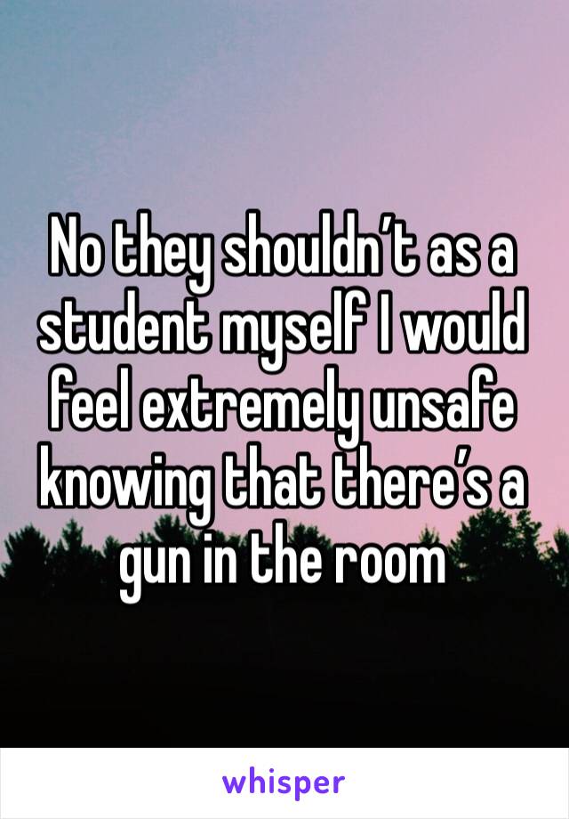 No they shouldn’t as a student myself I would feel extremely unsafe knowing that there’s a gun in the room 