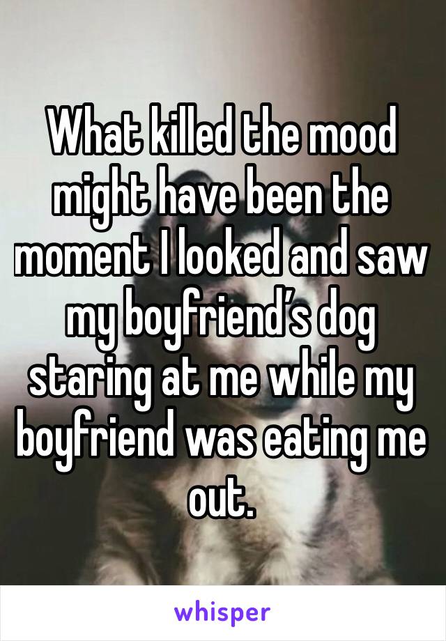 What killed the mood might have been the moment I looked and saw my boyfriend’s dog staring at me while my boyfriend was eating me out. 