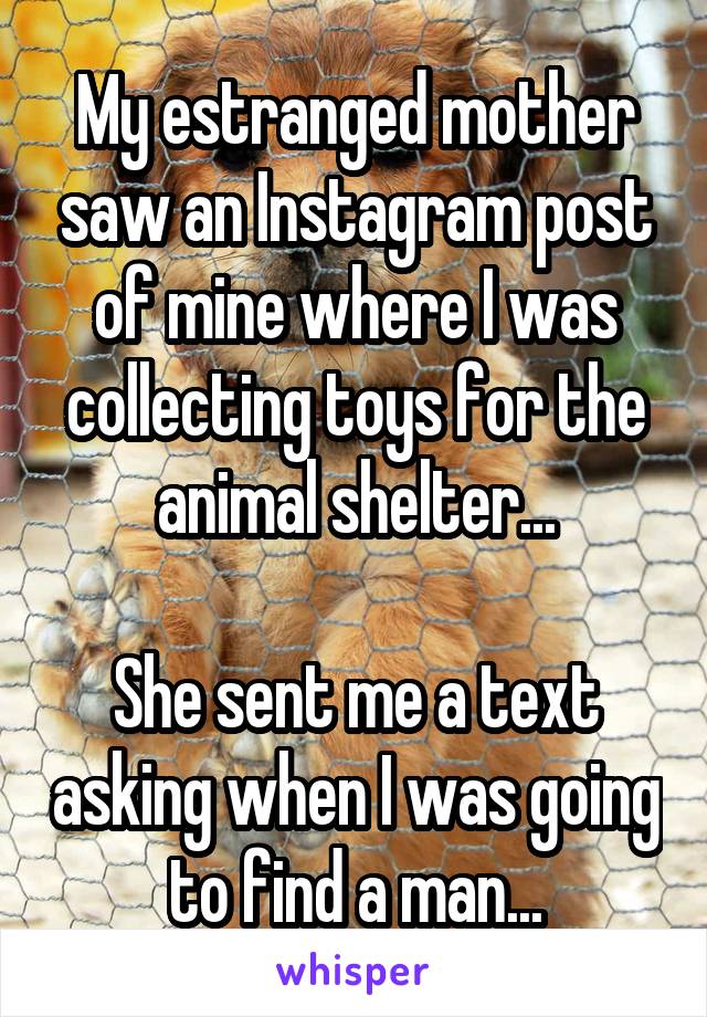 My estranged mother saw an Instagram post of mine where I was collecting toys for the animal shelter...

She sent me a text asking when I was going to find a man...