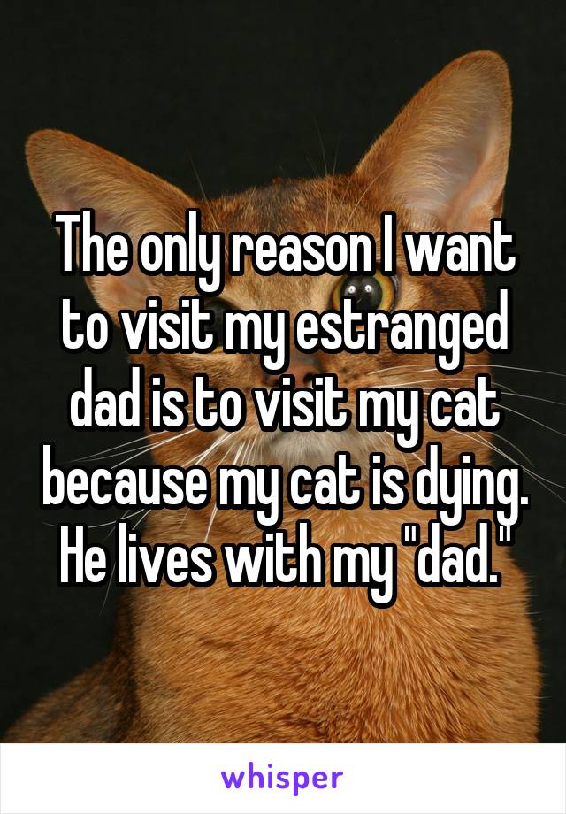 The only reason I want to visit my estranged dad is to visit my cat because my cat is dying. He lives with my "dad."