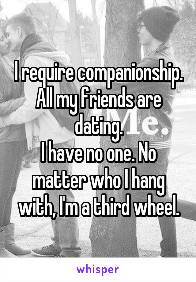 I require companionship.
All my friends are dating.
I have no one. No matter who I hang with, I'm a third wheel.