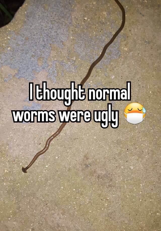 I thought normal worms were ugly 😷