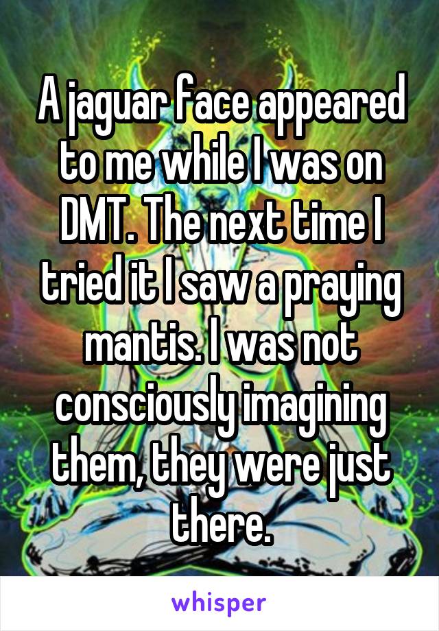 A jaguar face appeared to me while I was on DMT. The next time I tried it I saw a praying mantis. I was not consciously imagining them, they were just there.