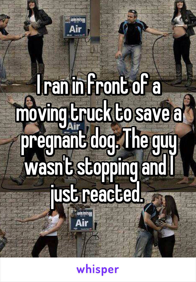 I ran in front of a moving truck to save a pregnant dog. The guy wasn't stopping and I just reacted. 