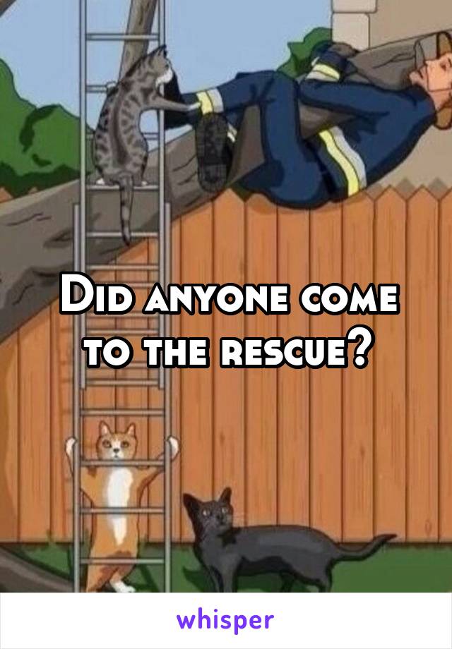 Did anyone come to the rescue?