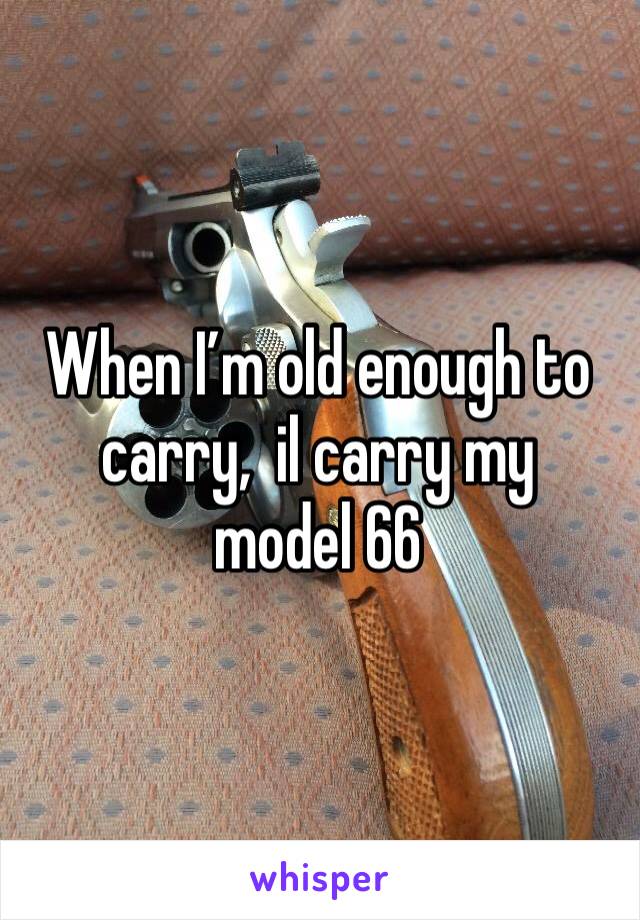 When I’m old enough to carry,  il carry my 
model 66 