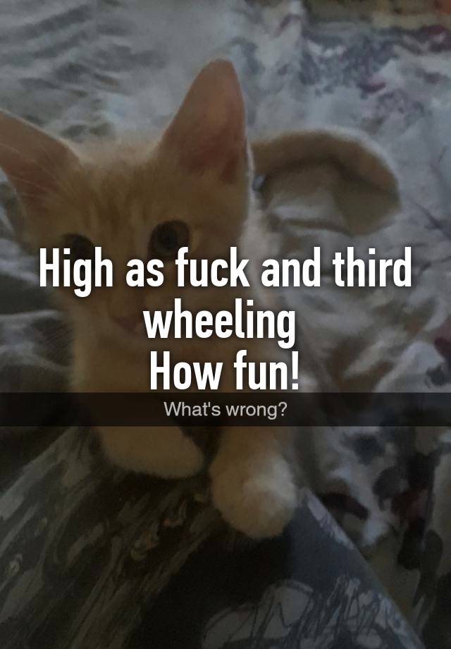 High as fuck and third wheeling 
How fun!