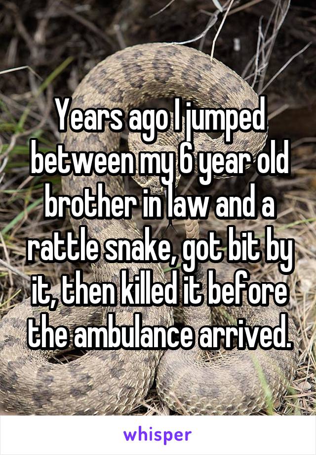Years ago I jumped between my 6 year old brother in law and a rattle snake, got bit by it, then killed it before the ambulance arrived.