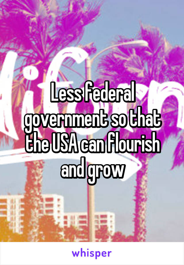 Less federal government so that the USA can flourish and grow