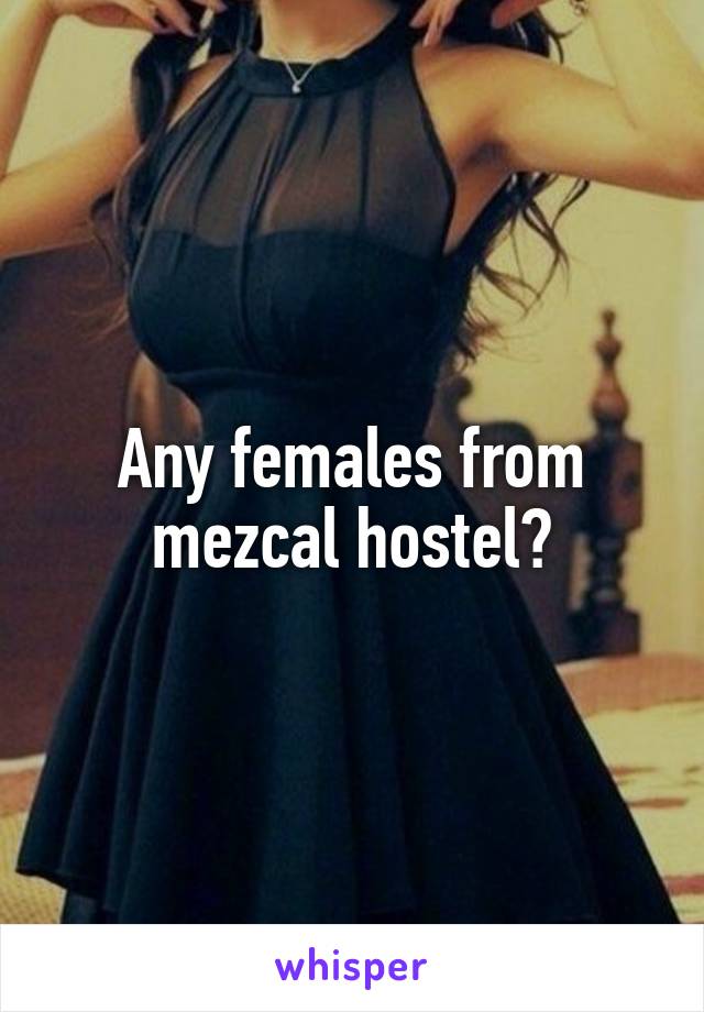 Any females from mezcal hostel?