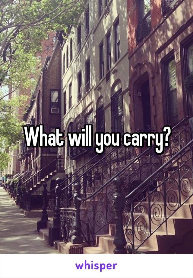 What will you carry?