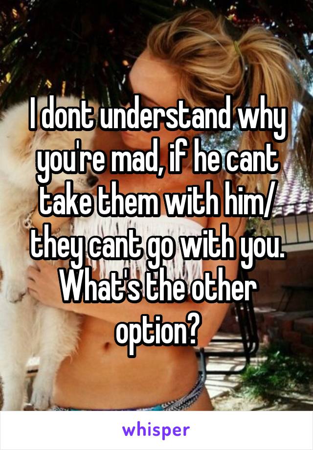 I dont understand why you're mad, if he cant take them with him/ they cant go with you. What's the other option?