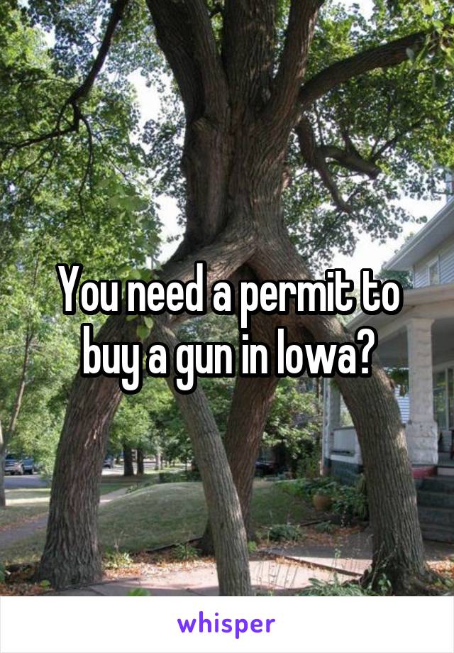 You need a permit to buy a gun in Iowa?