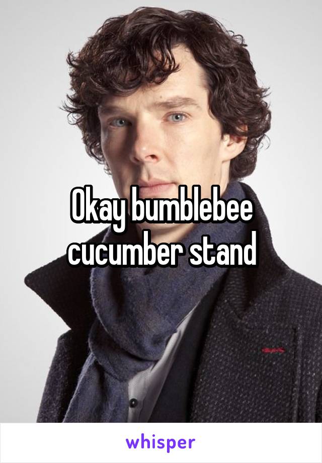 Okay bumblebee cucumber stand