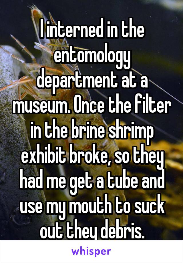 I interned in the entomology department at a museum. Once the filter in the brine shrimp exhibit broke, so they had me get a tube and use my mouth to suck out they debris.