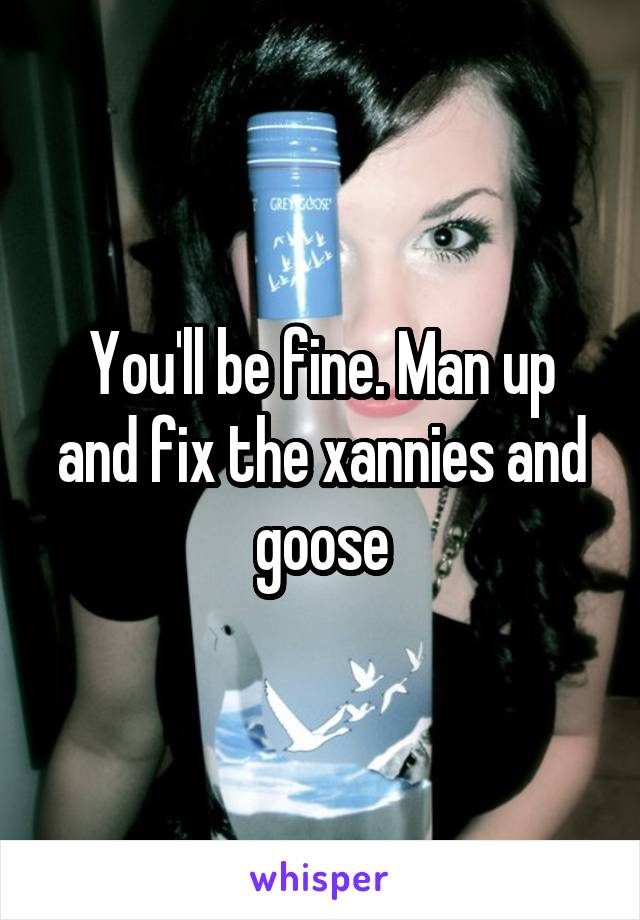 You'll be fine. Man up and fix the xannies and goose