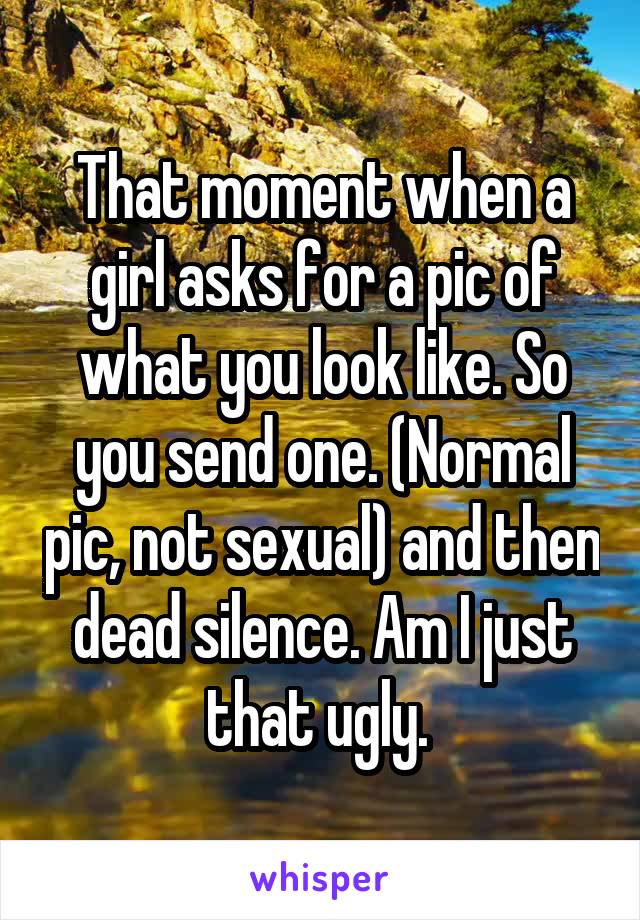 That moment when a girl asks for a pic of what you look like. So you send one. (Normal pic, not sexual) and then dead silence. Am I just that ugly. 