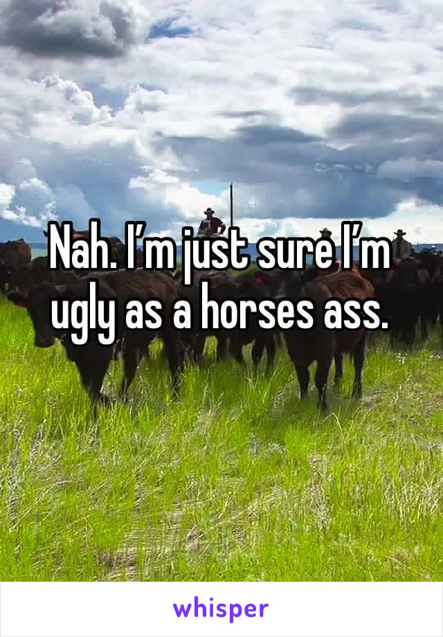 Nah. I’m just sure I’m ugly as a horses ass. 