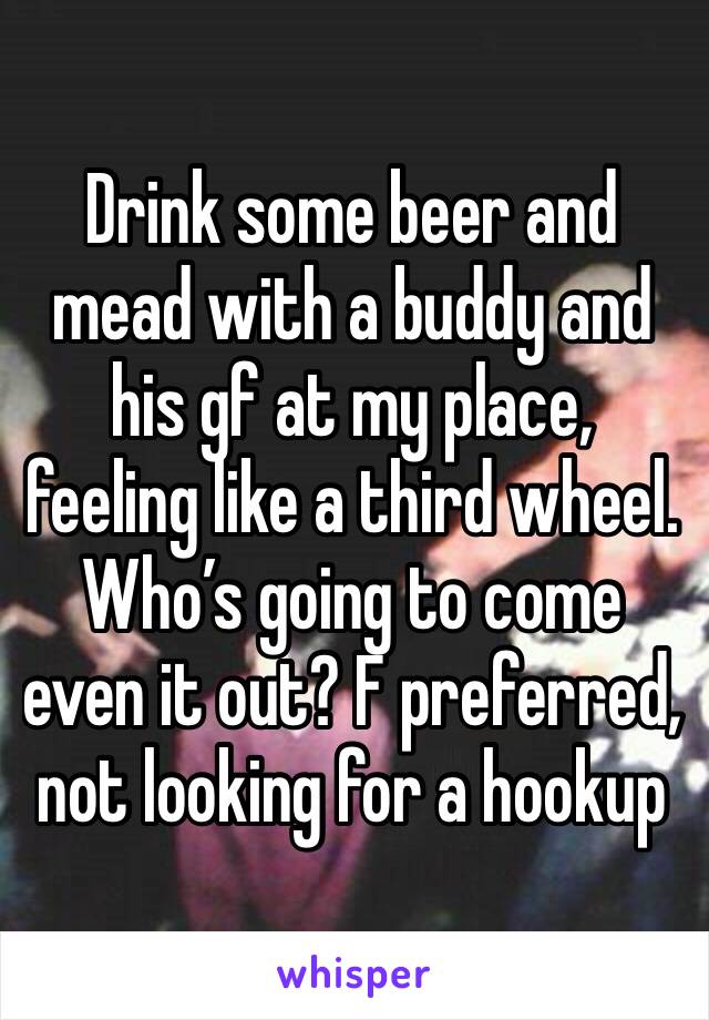 Drink some beer and mead with a buddy and his gf at my place, feeling like a third wheel. Who’s going to come even it out? F preferred, not looking for a hookup 