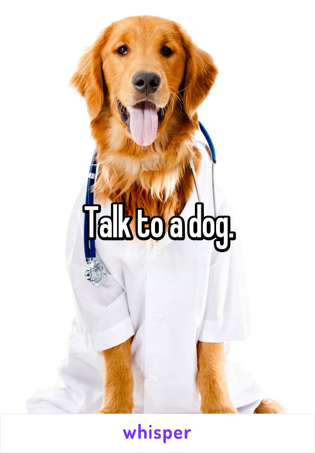 Talk to a dog.