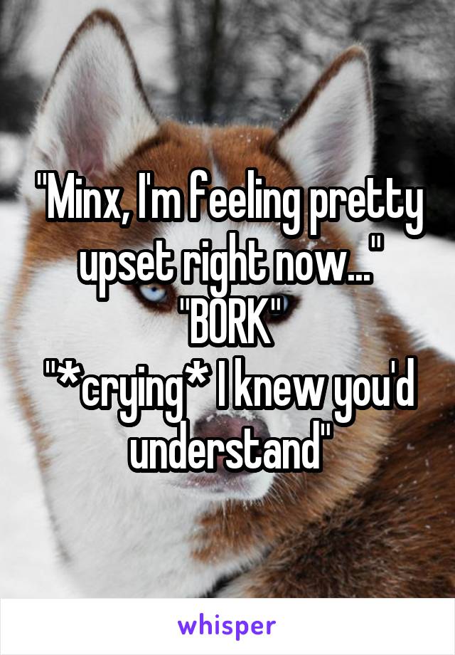 "Minx, I'm feeling pretty upset right now..."
"BORK"
"*crying* I knew you'd understand"