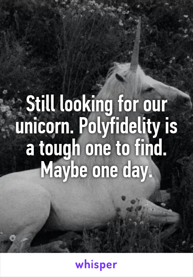 Still looking for our unicorn. Polyfidelity is a tough one to find. Maybe one day.