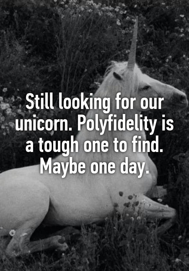 Still looking for our unicorn. Polyfidelity is a tough one to find. Maybe one day.