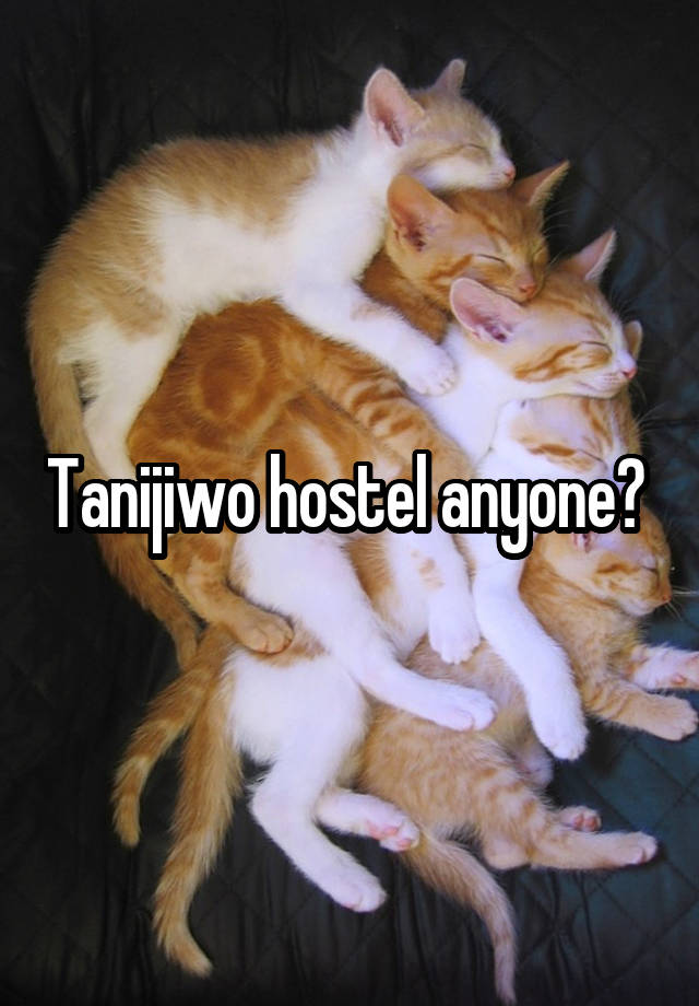 Tanijiwo hostel anyone? 