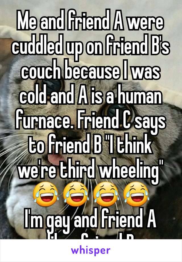 Me and friend A were cuddled up on friend B's couch because I was cold and A is a human furnace. Friend C says to friend B "I think we're third wheeling" 😂😂😂😂
I'm gay and friend A likes friend B