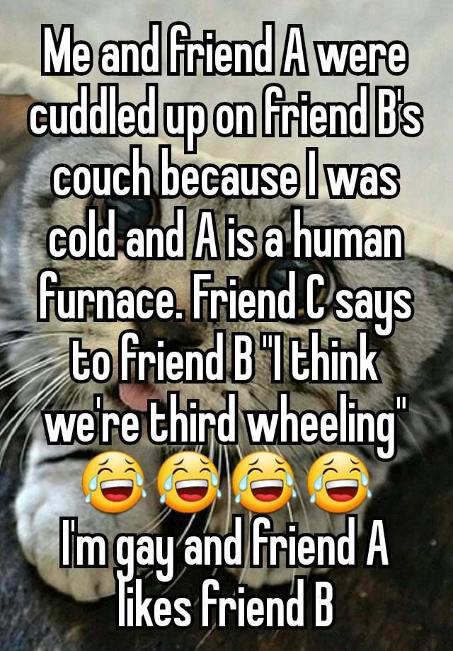 Me and friend A were cuddled up on friend B's couch because I was cold and A is a human furnace. Friend C says to friend B "I think we're third wheeling" 😂😂😂😂
I'm gay and friend A likes friend B